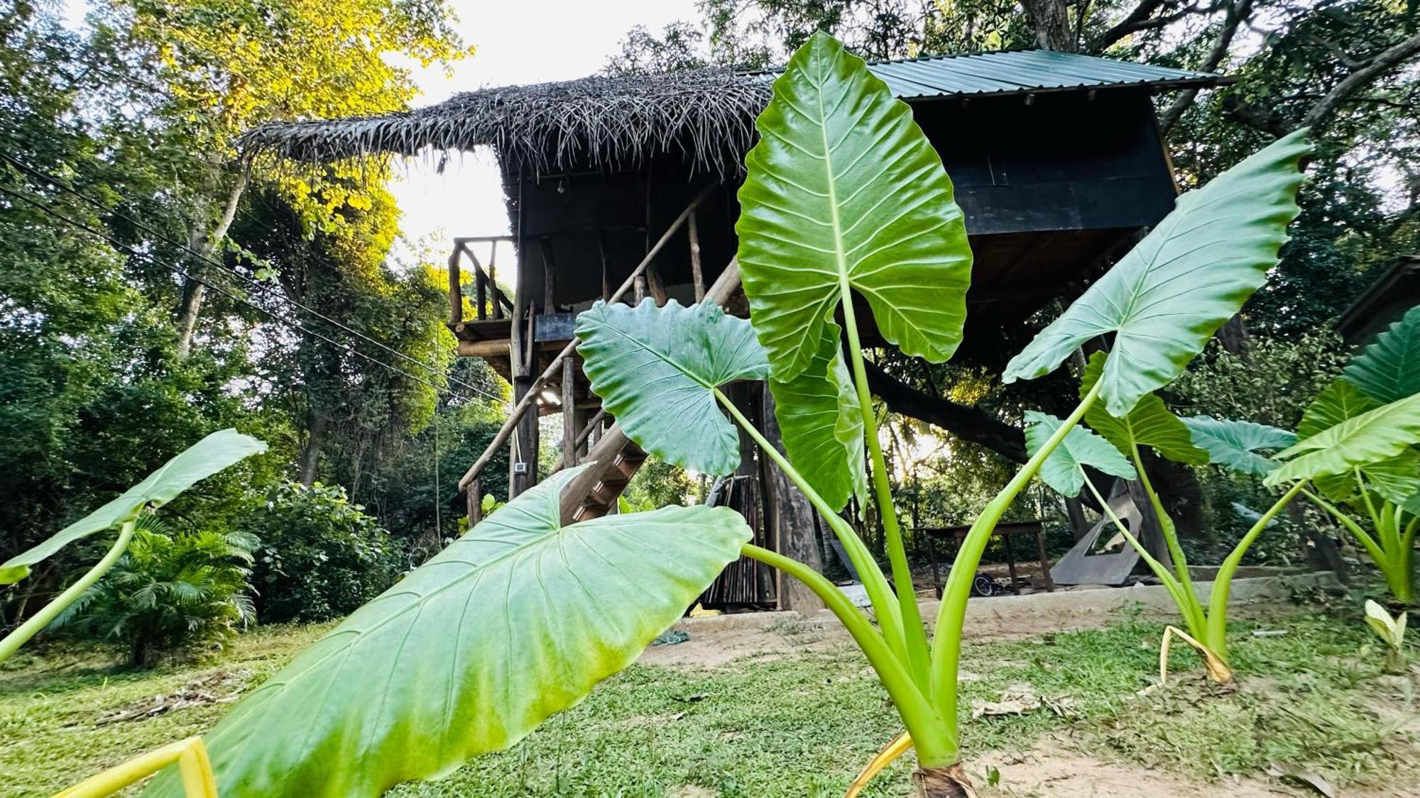 Sigiri Veenus Paradise Sigiriya Bagian luar foto